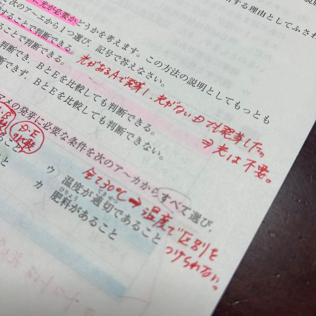 ⑳㉓　サピックス　SAPIX 5年　3月度復習テスト　2回分