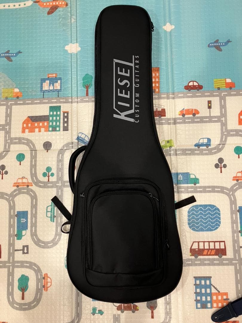 ギター Kiesel Aries6