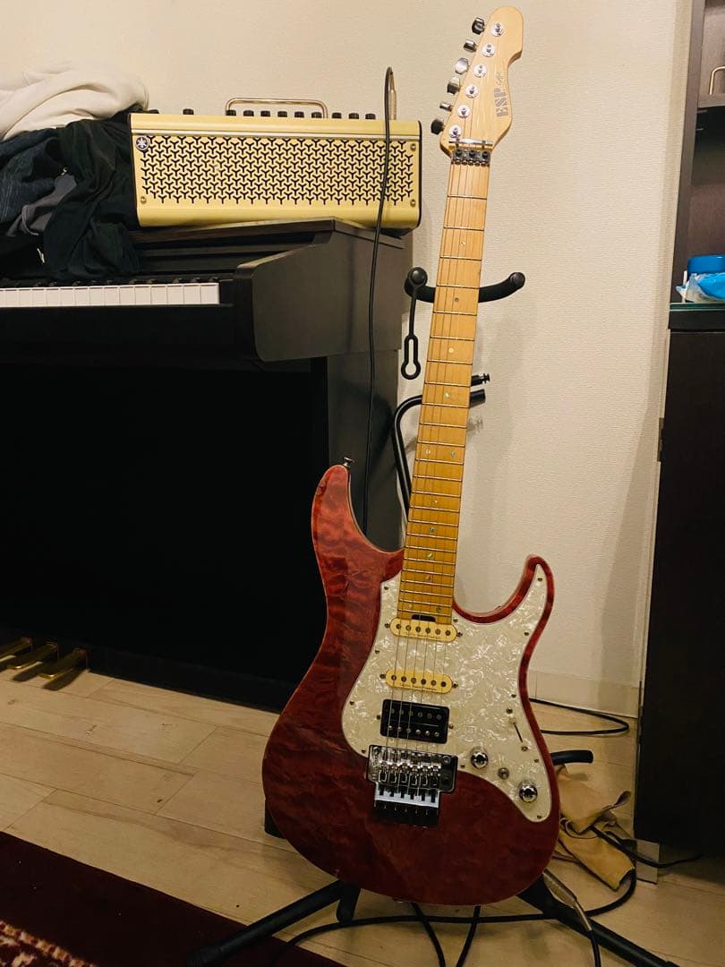 ギター ESP SNAPPER CTM 24 FR
