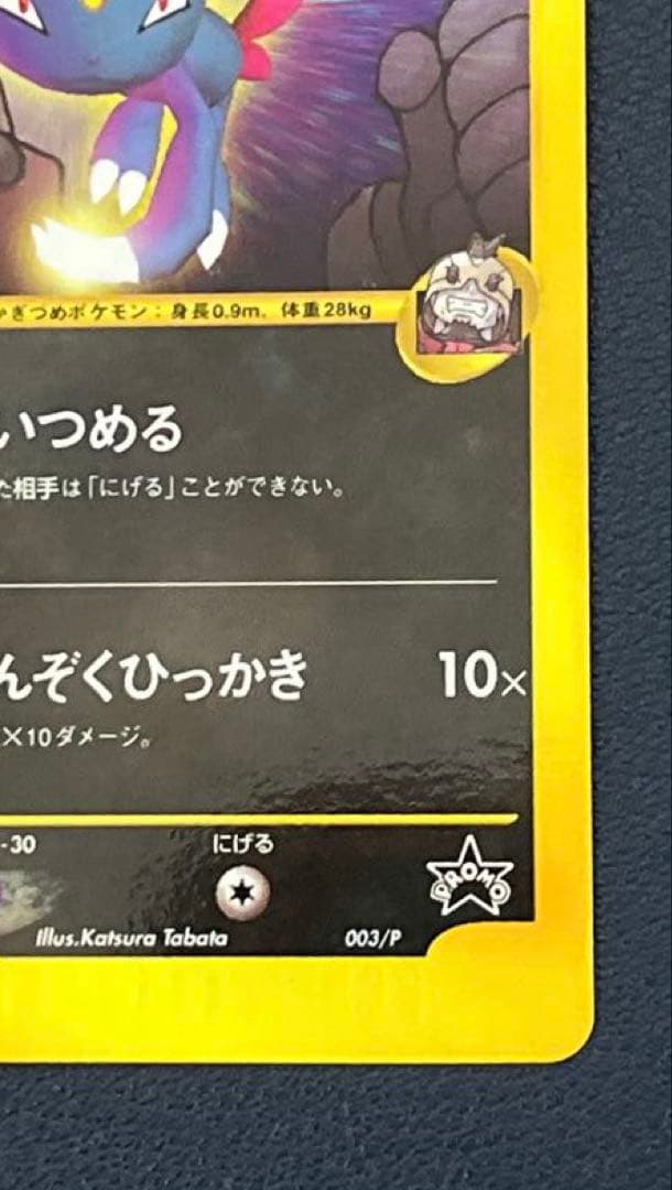ポケモンカードe シリーズ プロモ R団のニューラ
