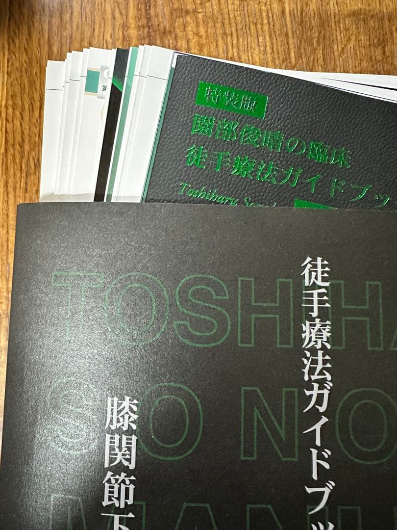 園部俊晴の臨床 『徒手療法ガイドブックⅡ』 膝関節・下腿・足関節・足部編