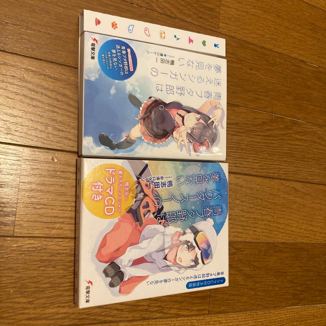 青春ブタ野郎シリーズ　10巻