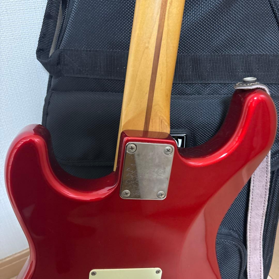 メ*ー様 fujigen FGN フジゲン エレキギター ピック×8 ケース備品