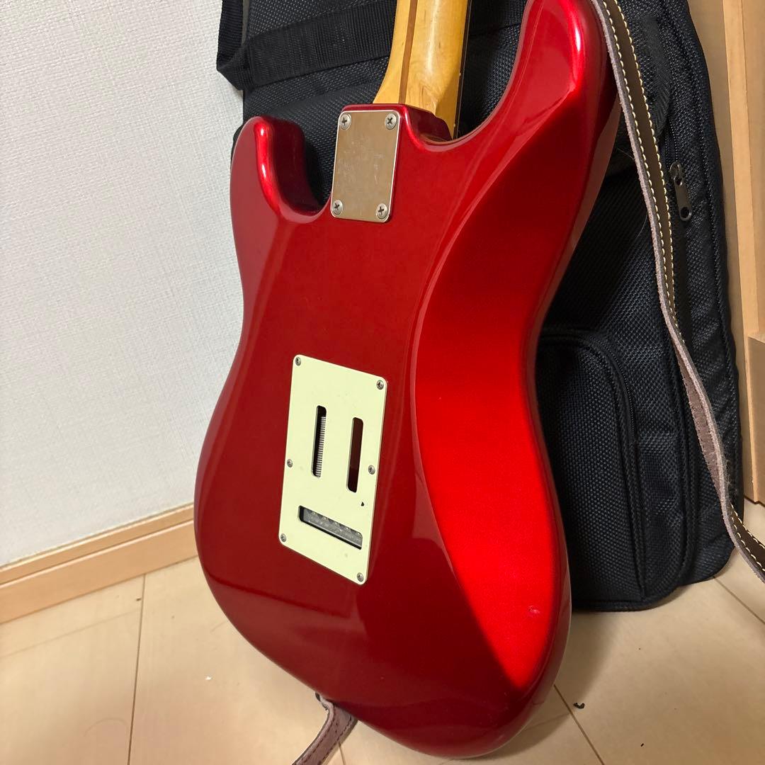 メ*ー様 fujigen FGN フジゲン エレキギター ピック×8 ケース備品
