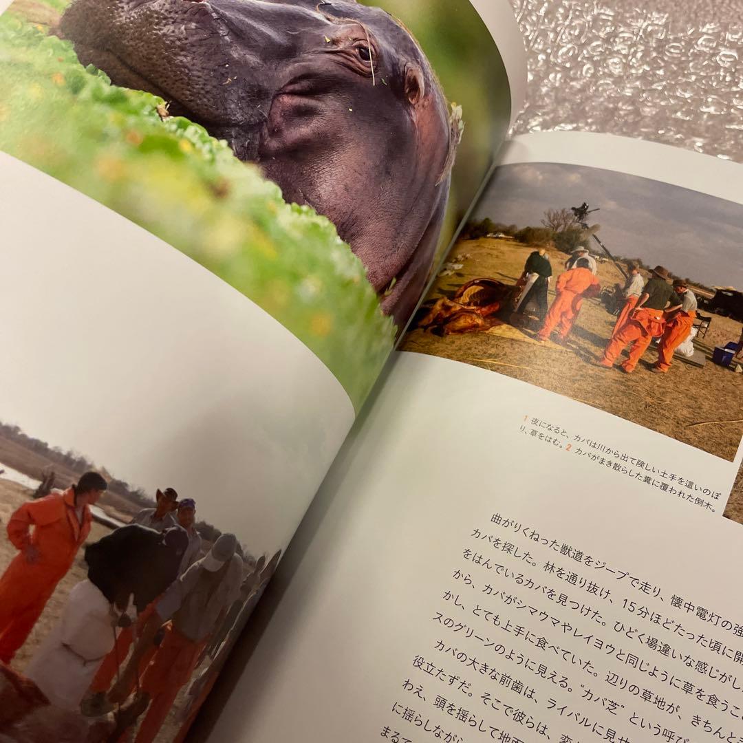 巨大生物解剖図鑑