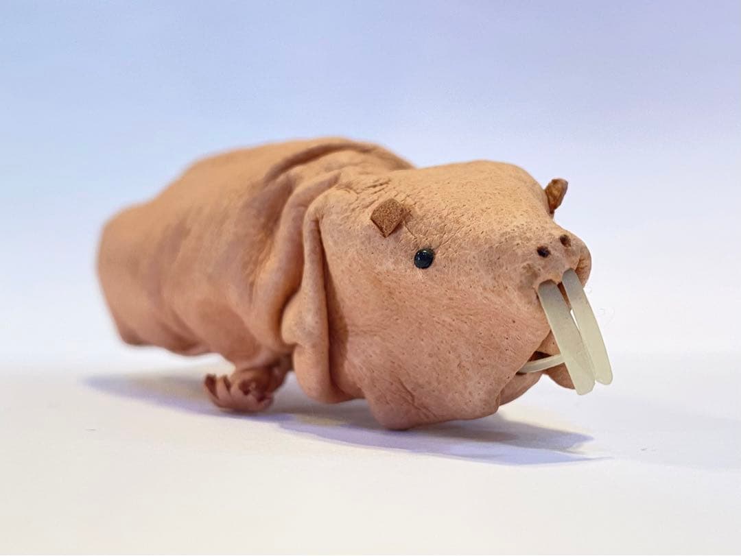 あまのじゃくとへそまがり　ハダカデバネズミ