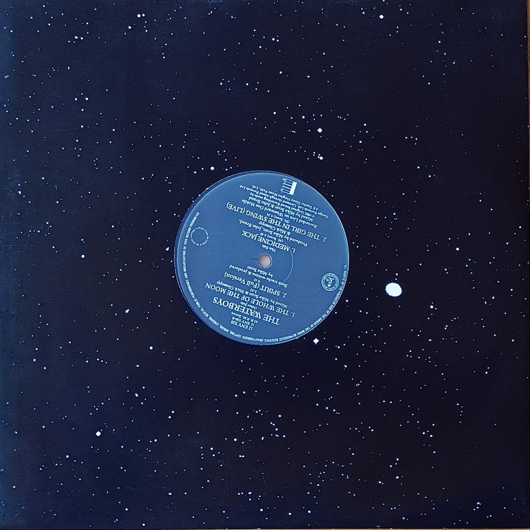 洋楽 THE WHOLE OF THE MOON 12\"/THE WATER BOYS