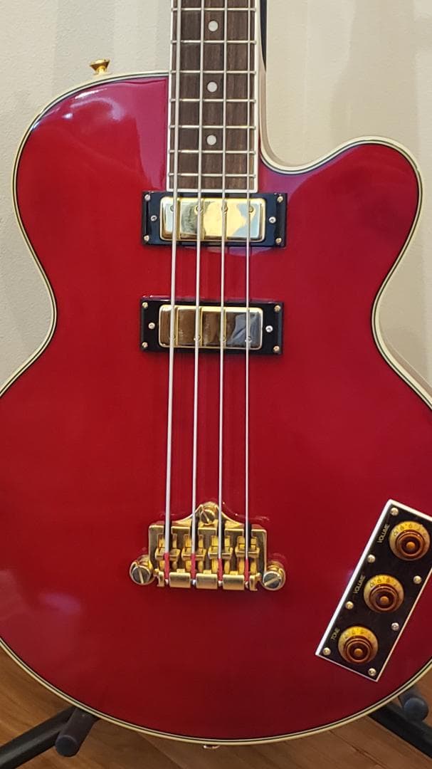 Epiphone エピフォン Allen Woody Rumblekat
