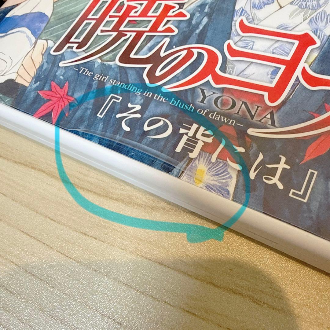 暁のヨナ　1巻〜47巻(特装版含む)+付録+アニメイト特典　豪華セット　美品