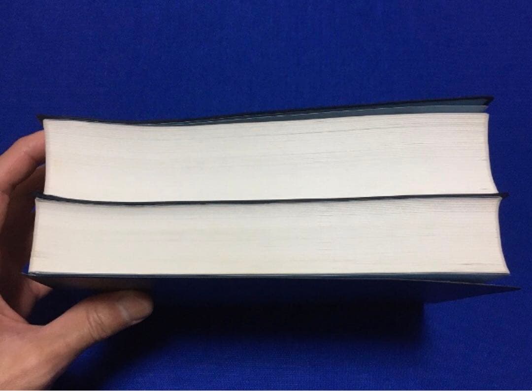 【2冊セット・良品】図解 鍼灸療法技術ガイドⅠ・Ⅱ／文光堂／東洋医学 臨床