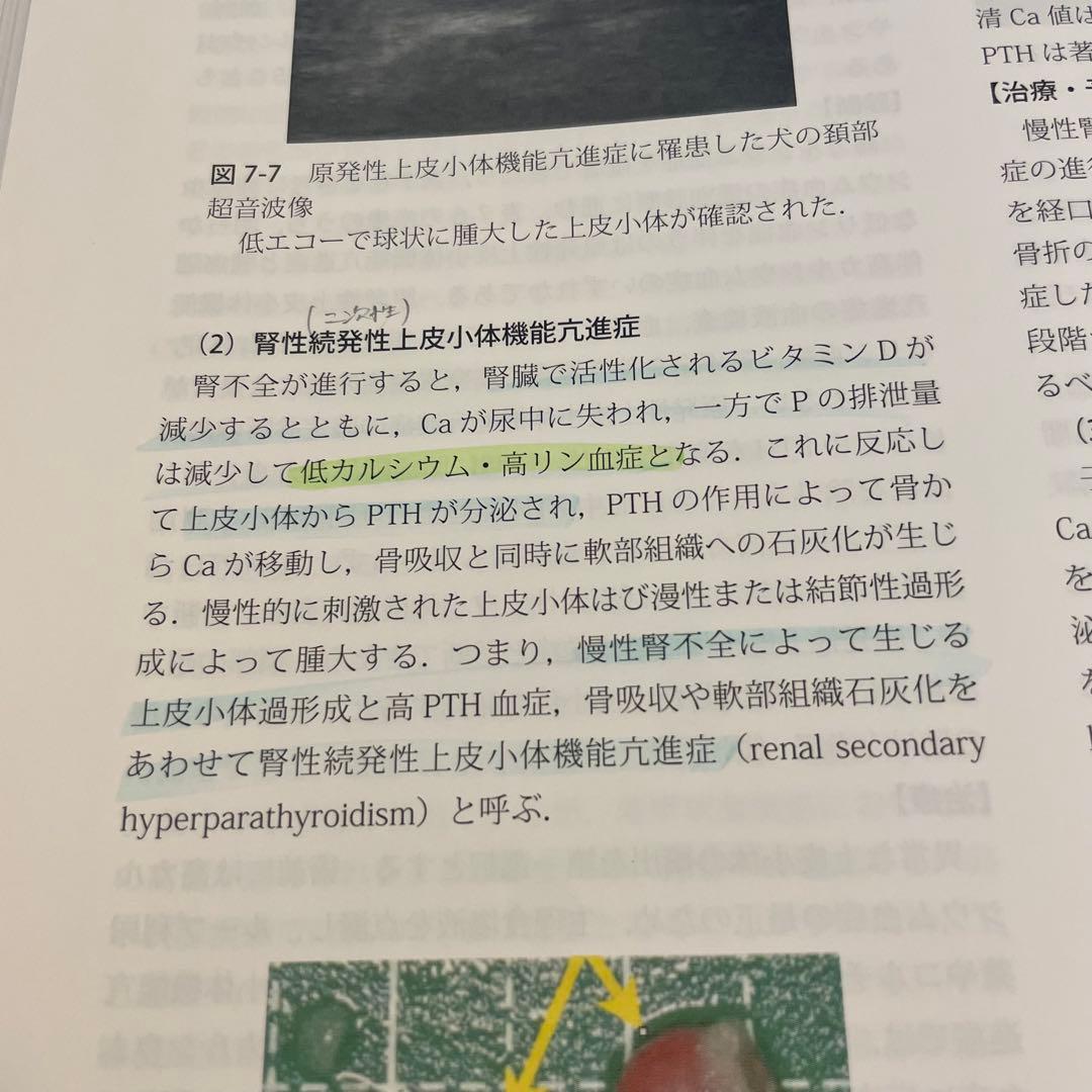 獣医内科学 第3版 伴侶動物編 産業動物編 2冊セット