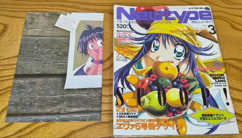 Newtype 1997年号 1-12冊セット