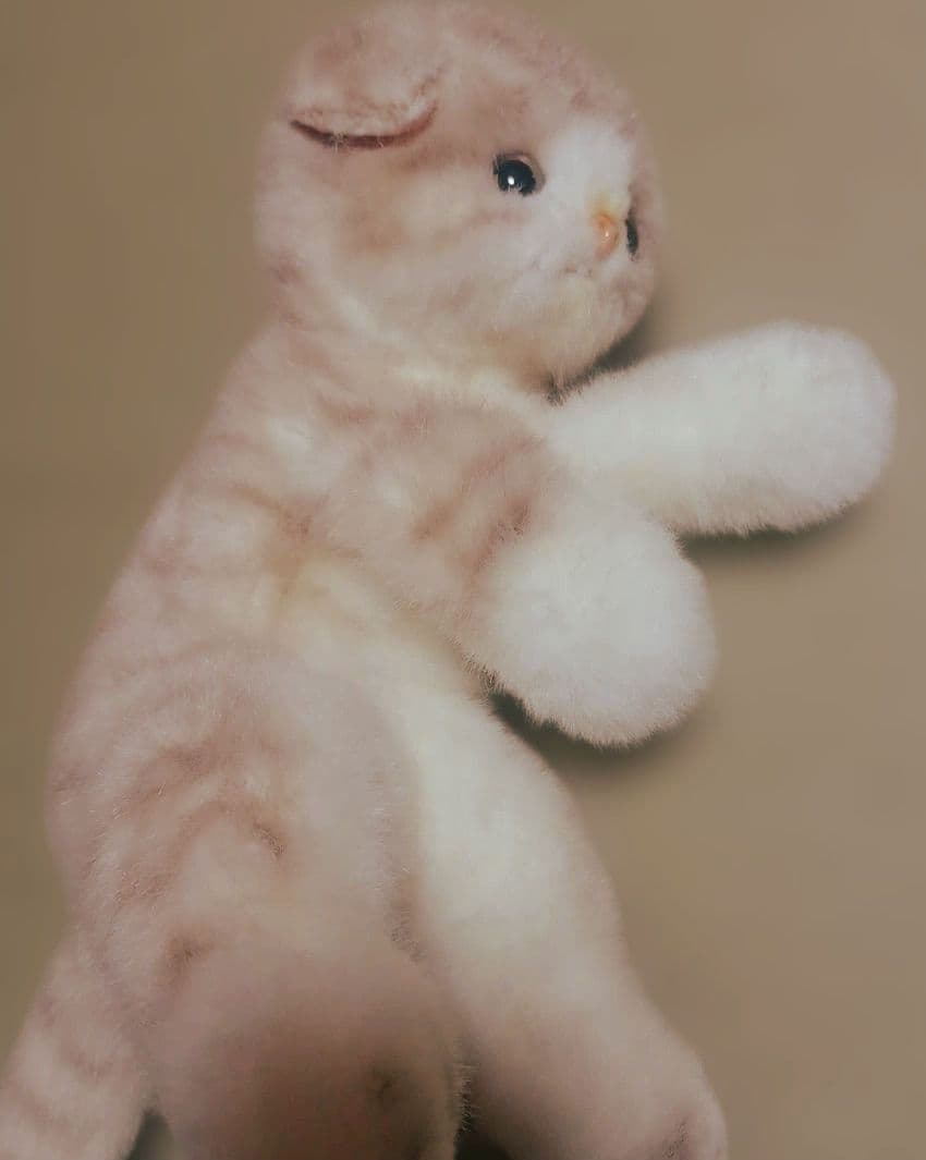猫ぬいぐるみ クリーム色・ベージュ