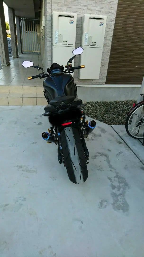 NINJA1000 Z1000 マーベリック チタンフルエキ