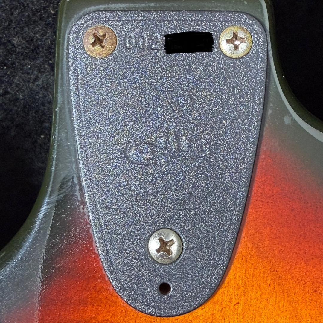 USA製 G&L SKYHAWK エレキギター ラッカー アーム ハードケース付