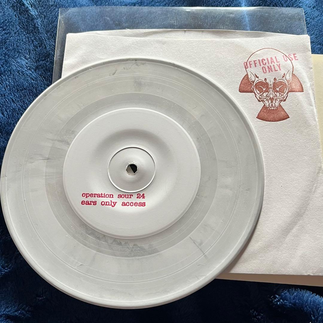 パスヘッド Roswell Project レコード ブラウンスリーブ