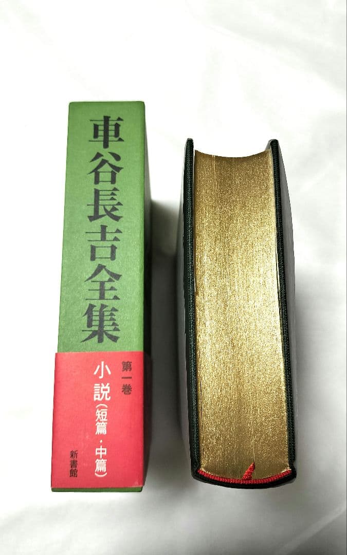 車谷長吉全集 第1巻 新書館