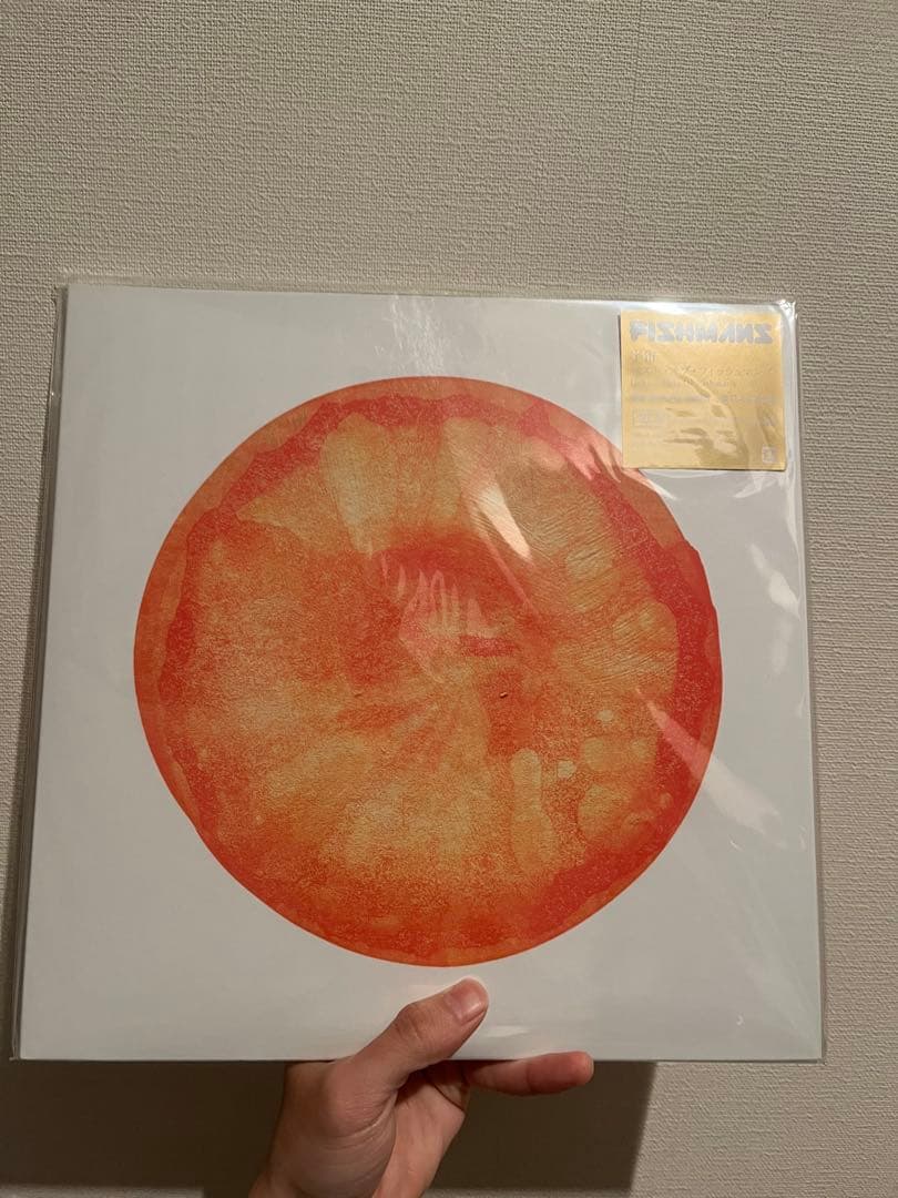 FISHMAN 2枚組 レコード　空中　宇宙