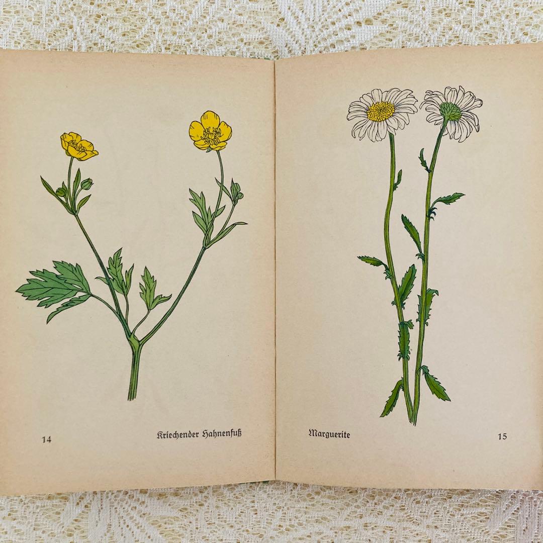 洋書　古書　インゼル文庫 No.269 & 281　小さな植物図鑑2冊セット♪