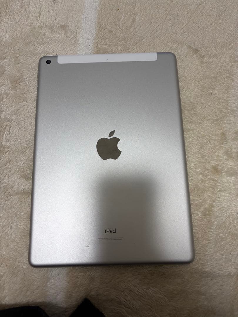 iPad (256GB) Wi-Fi + Cellular シルバー