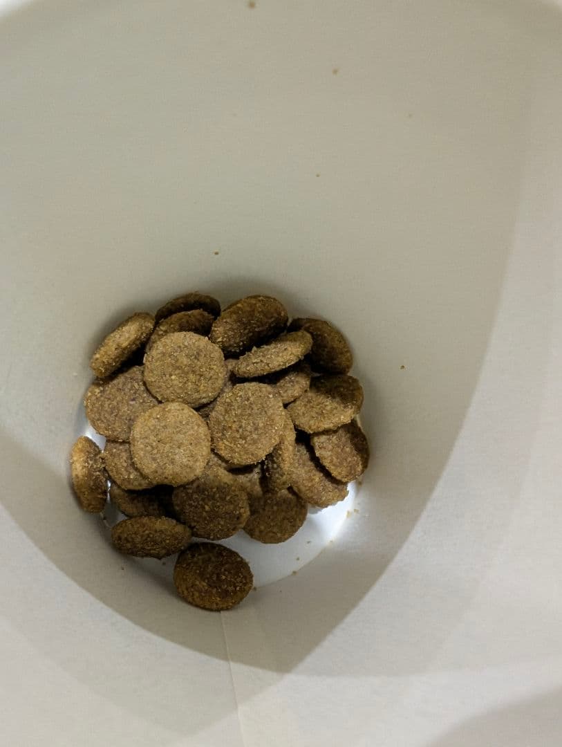 わしん犬用ドライフード 18kg