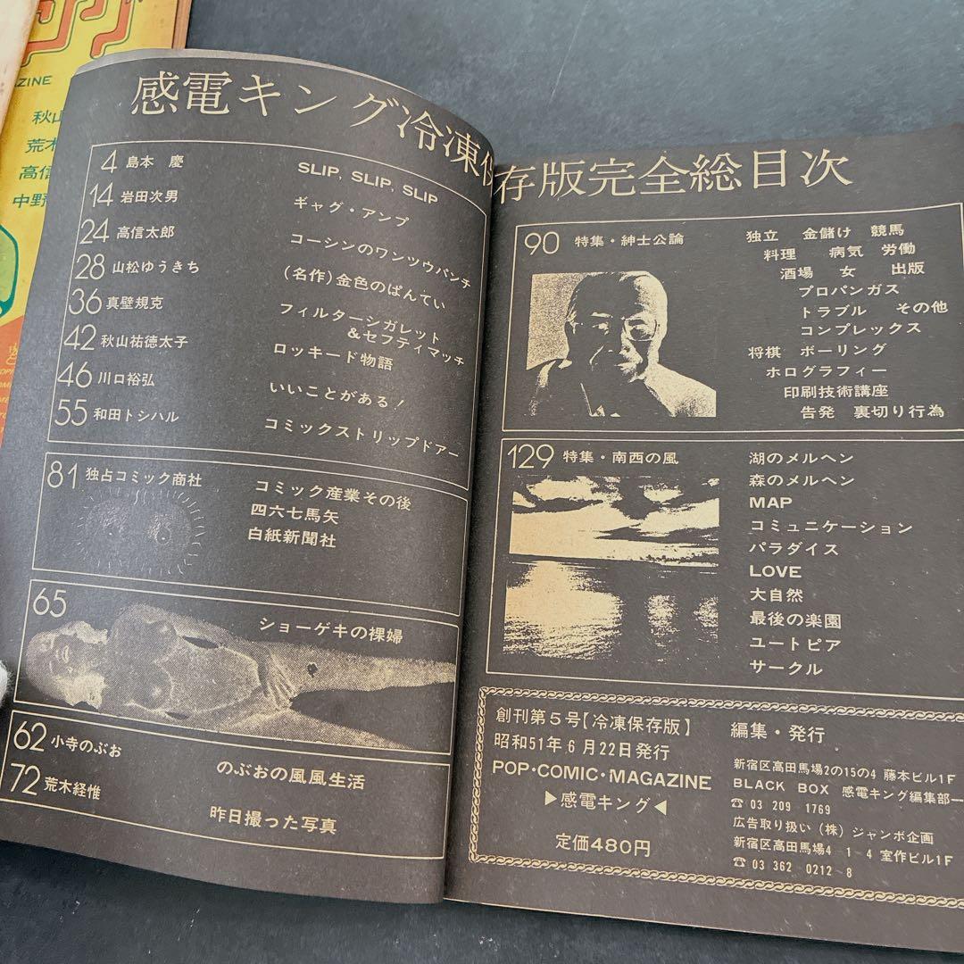 感電キング 創刊第2号 3号 5号 昭和50年〜 昭和本 レトロ 3冊セット