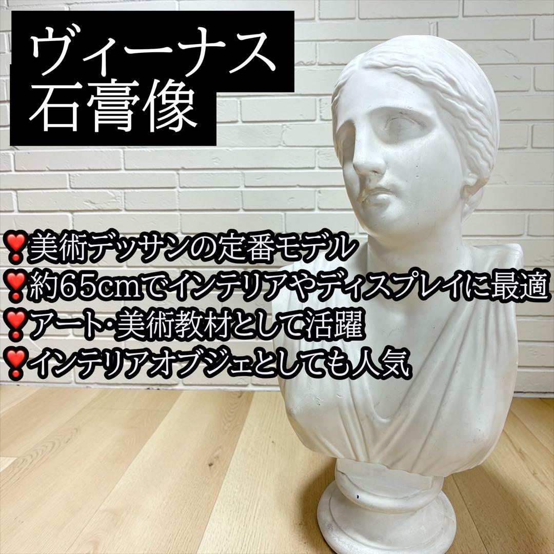 石膏像 ヴィーナス デッサン用 美術 ディスプレイ オブジェ 約65cm