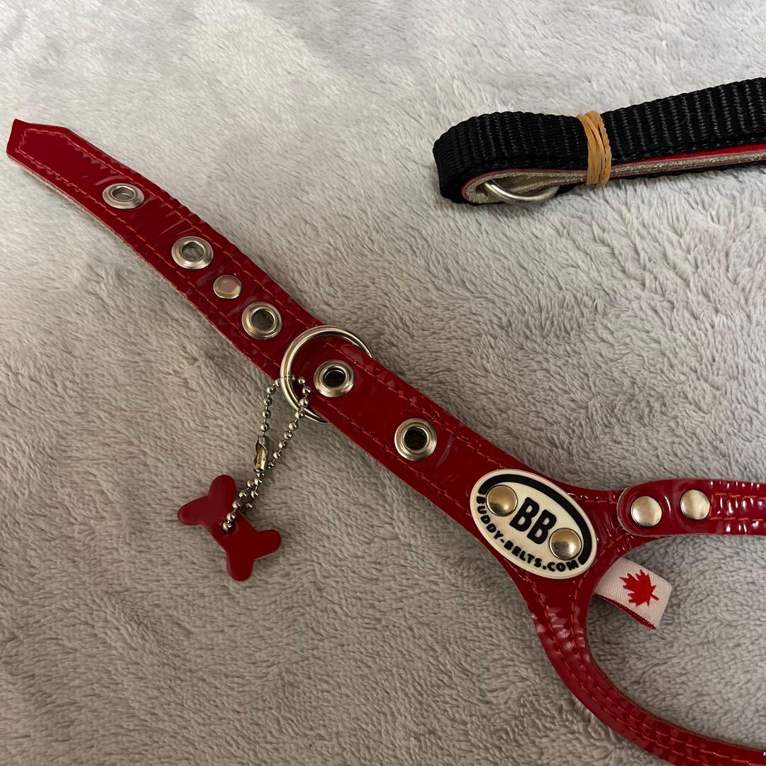 BUDDY BELTエナメルレッド貴重な限定色3.5号&リードSサイズセット