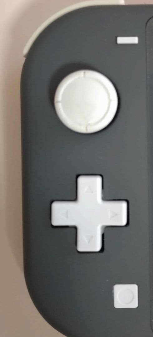 Nintendo Switch Lite グレー 本体 充電器付き　ジャック品