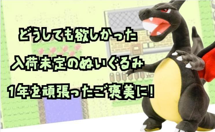 リザードン　ぬいぐるみ　大きい　黒　色違い 　25cm　リボン袋付【残3限定】