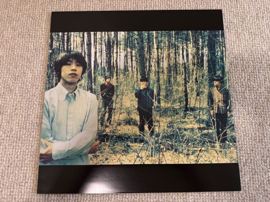 【未使用】GRAPEVINE - 退屈の花 アナログ盤レコード