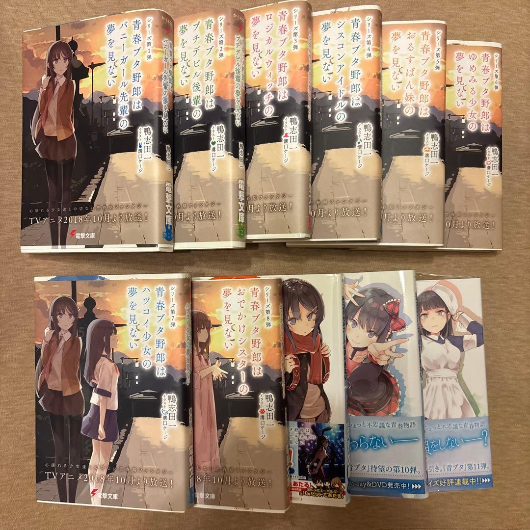 青春ブタ野郎シリーズ 小説 レア ブックカバー