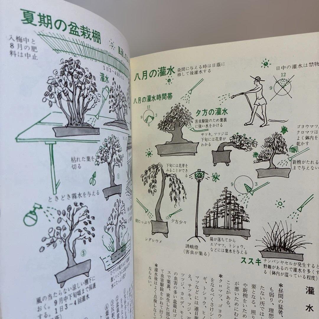 ★希少★ 絵説き 盆栽の手入れ
