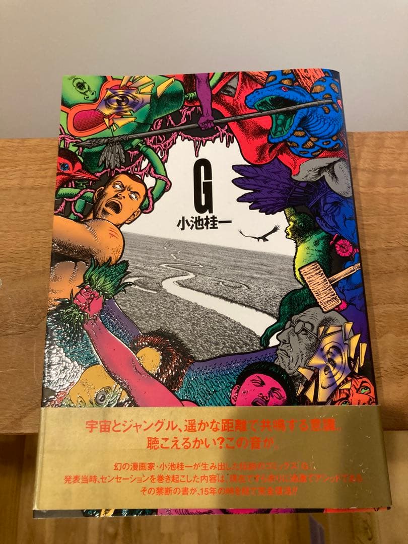 【美品】小池桂一　G ウルトラヘヴン1.2 【セット】