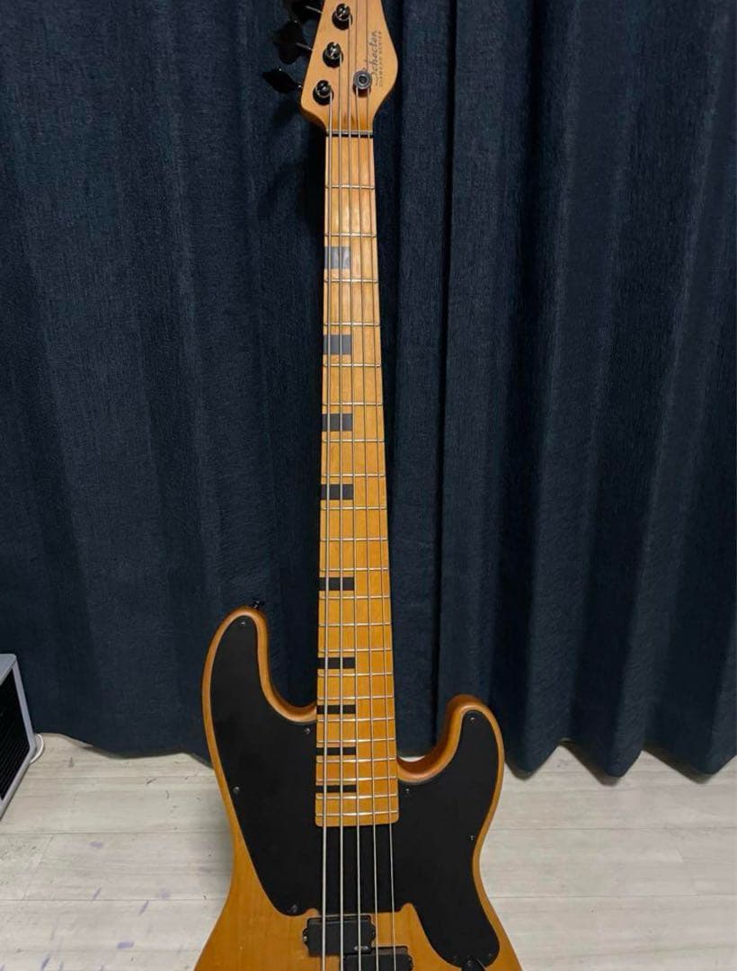 ベース Schecter Model-T Session-5