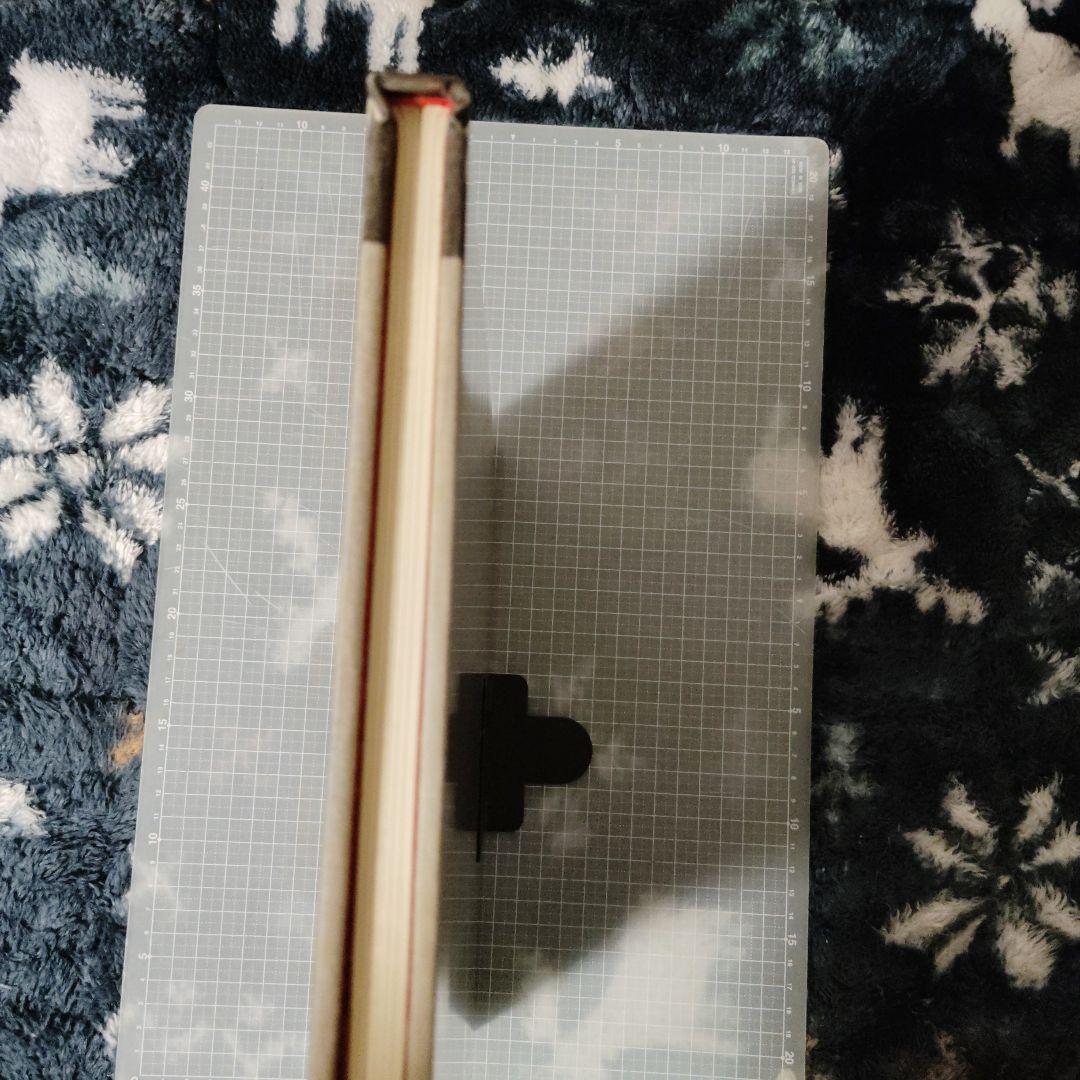 心景美人画