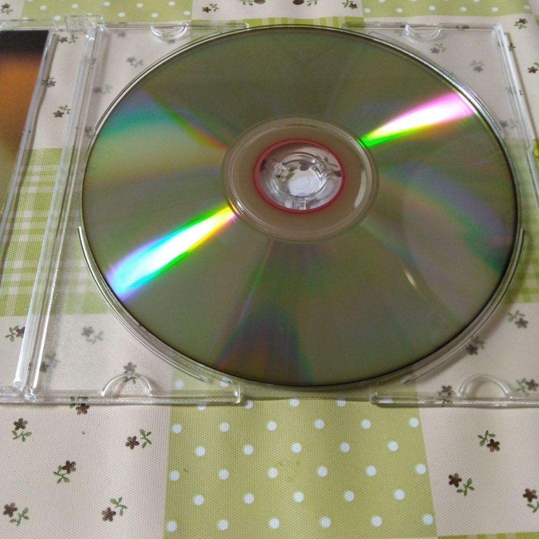 サイン入り　kijibato　blue curse　ボカロ　CD　初音ミク