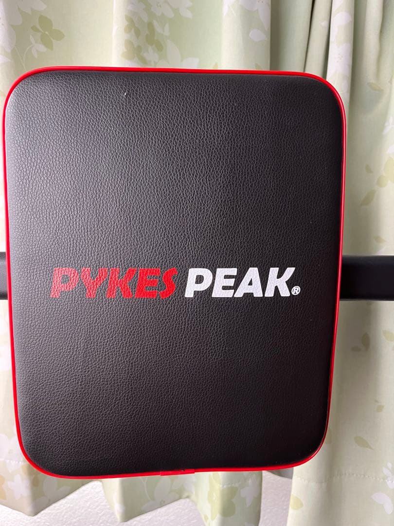 PYKES PEAK (パイクスピーク) ぶら下がり健康器 懸垂マシン　説明書有