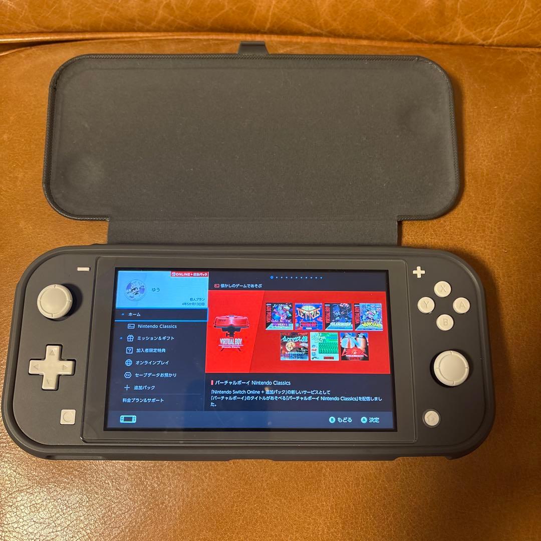 Nintendo Switch Lite グレー 専用ケース・純正充電器付