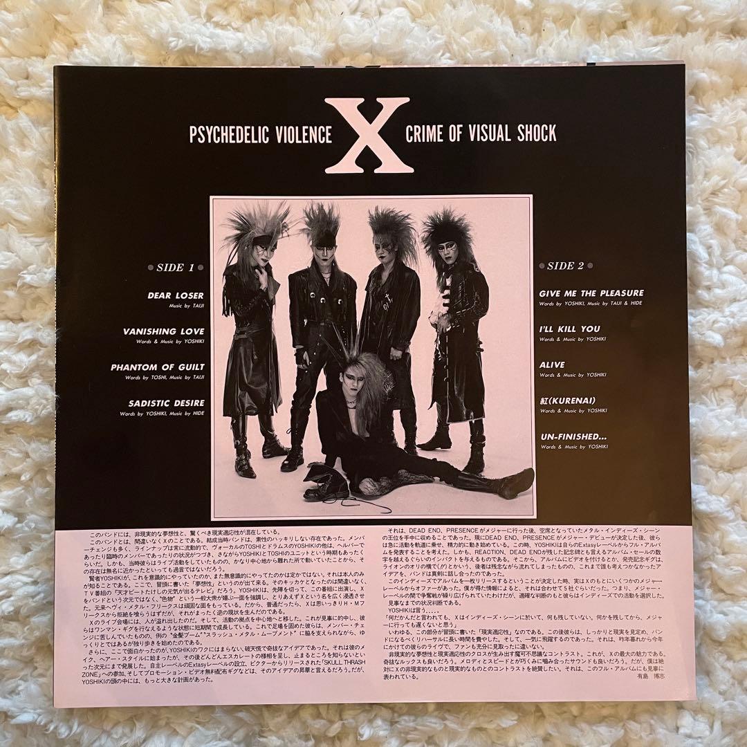 X VANISHING VISION ピクチャー盤