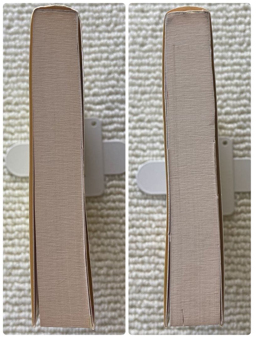 衣料品店経営のすべて/中井一郎