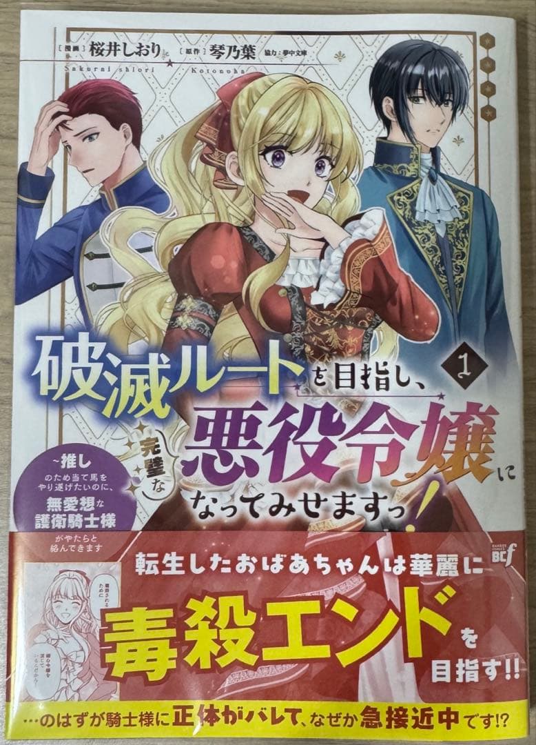 みぃー★ 竜陛下のお妃はお断りしたい！ 他