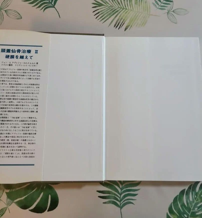 vitamin 2点