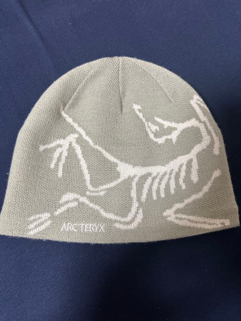 帽子 ARC'TERYX Bird Head Toque Habitat/Atmos