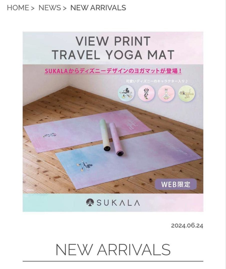 【美品】LAVA　SUKALA　トラベルヨガマット　デイジーダック