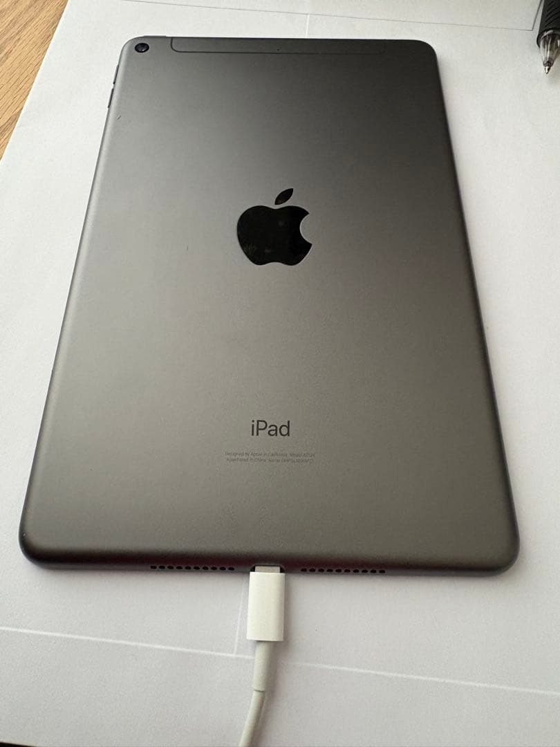 い*ん様 iPad mini 5th Cellular 64GB