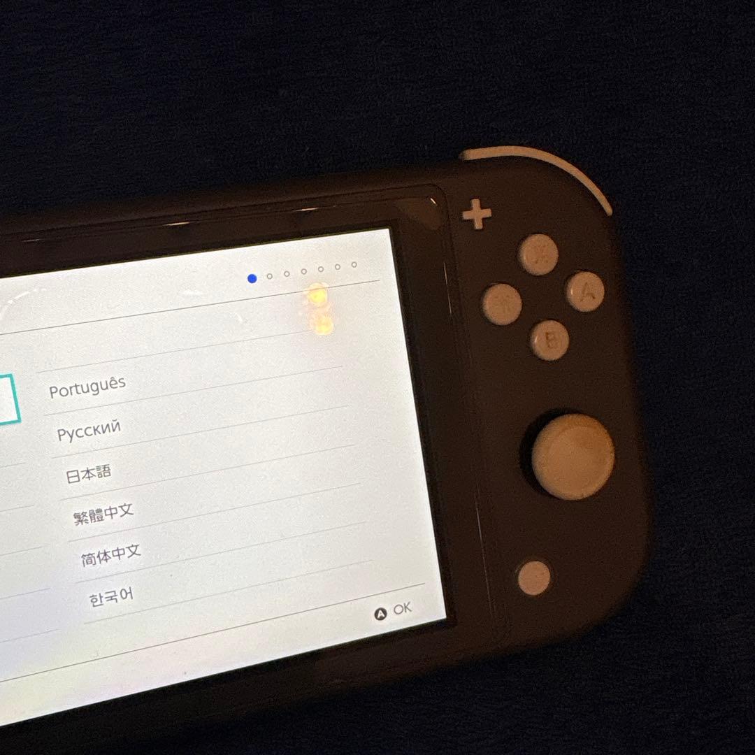 ⬛︎Nintendo Switch lite⬛︎本体⬛︎グレー⬛︎SDカードグリップ付⬛︎