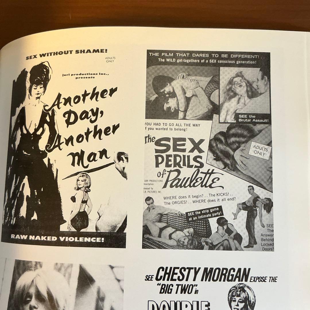 洋書 Bizarre Sinema! Sexploitation Filmmakers