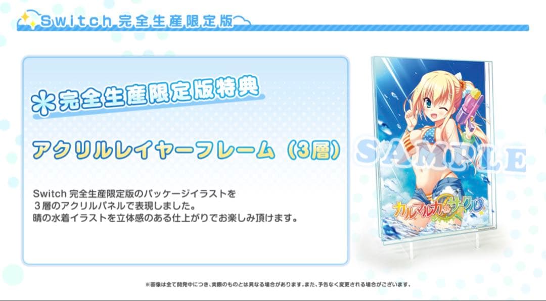 【新品未開封/完全生産限定版】カルマルカ＊サークル Switch