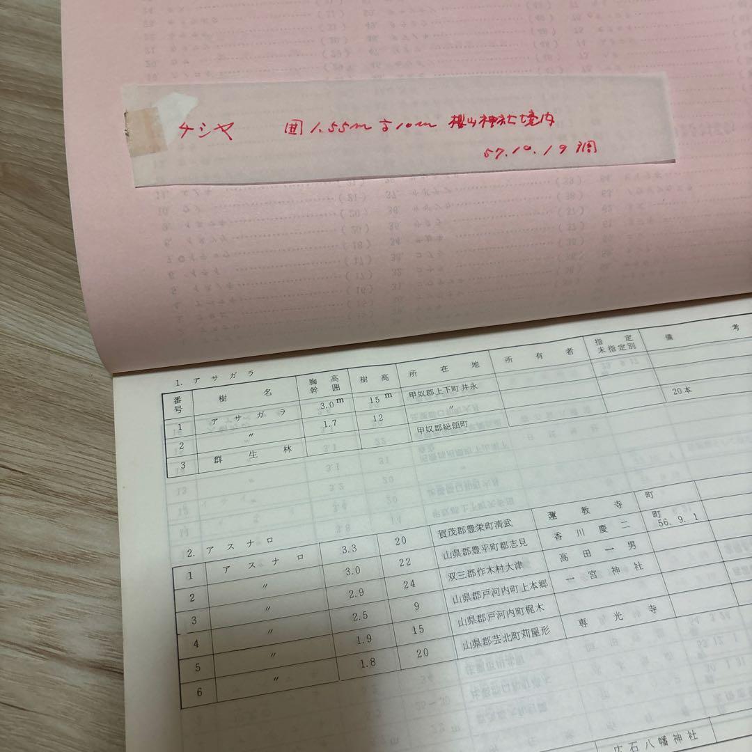 広島県巨樹調査 昭和57年